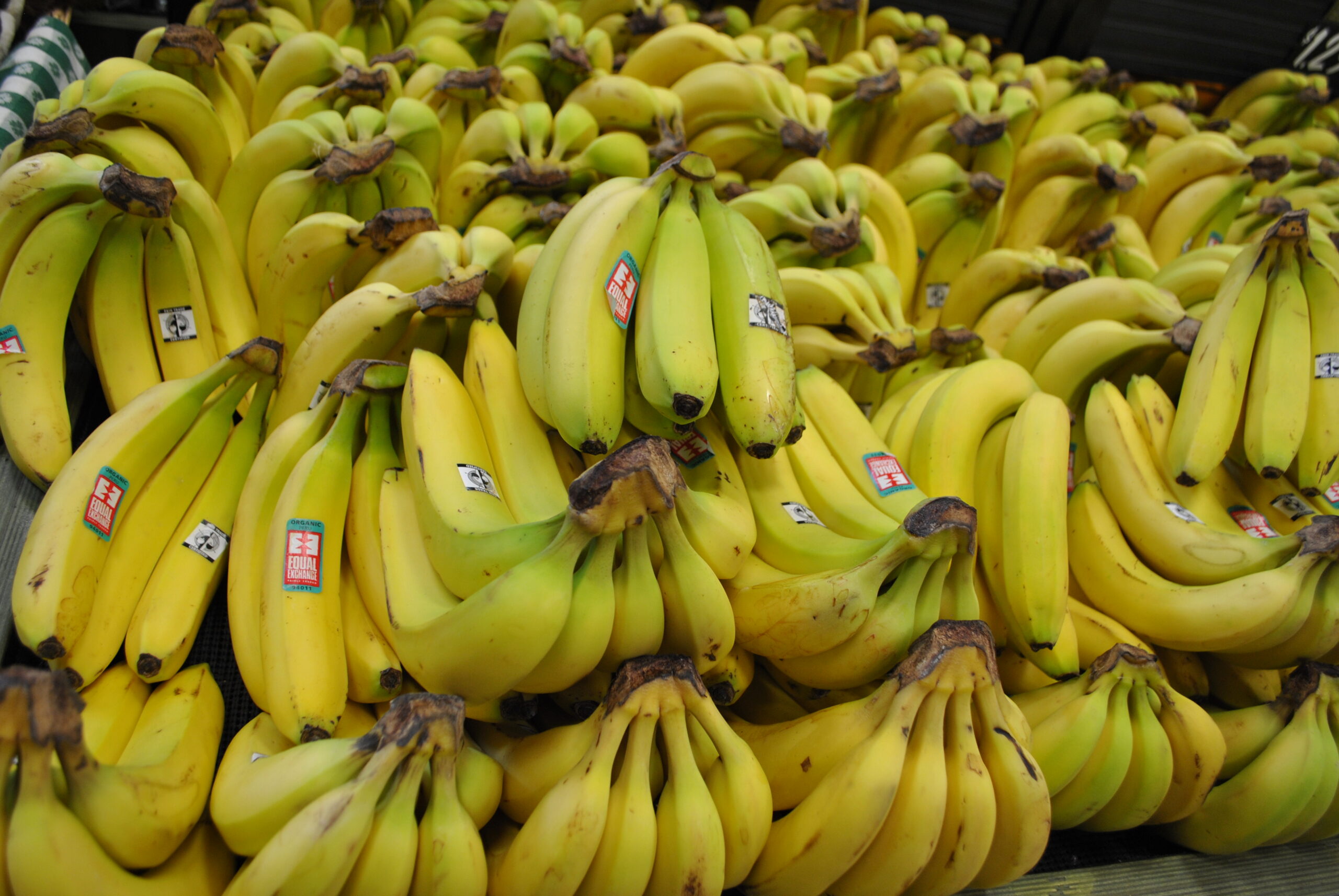 Order Equal Exchange Fair Trade Organic Bananas, Case
